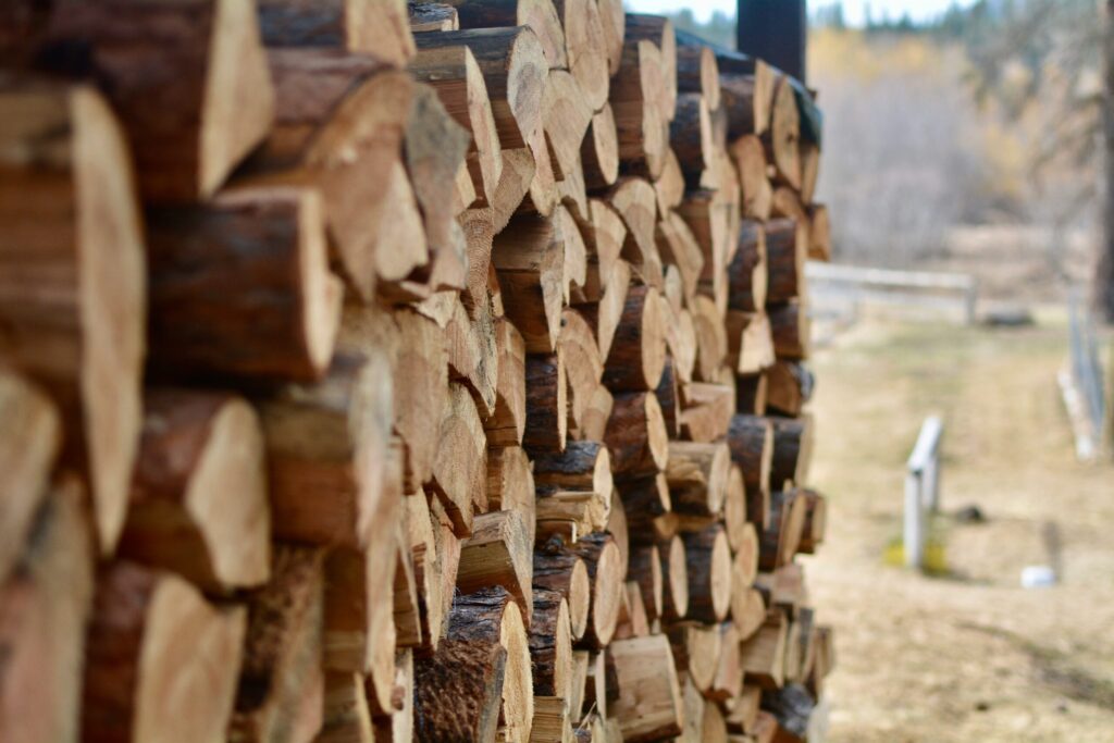 eliana-wJ-IExmeZC0-unsplash Estructura de madera laminada como ejemplo de construcción sostenible en arquitectura.